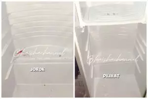 Tanpa digosok pasta gigi, ini cara bersihkan kulkas agar kinclong dan wangi pakai 2 bahan dapur