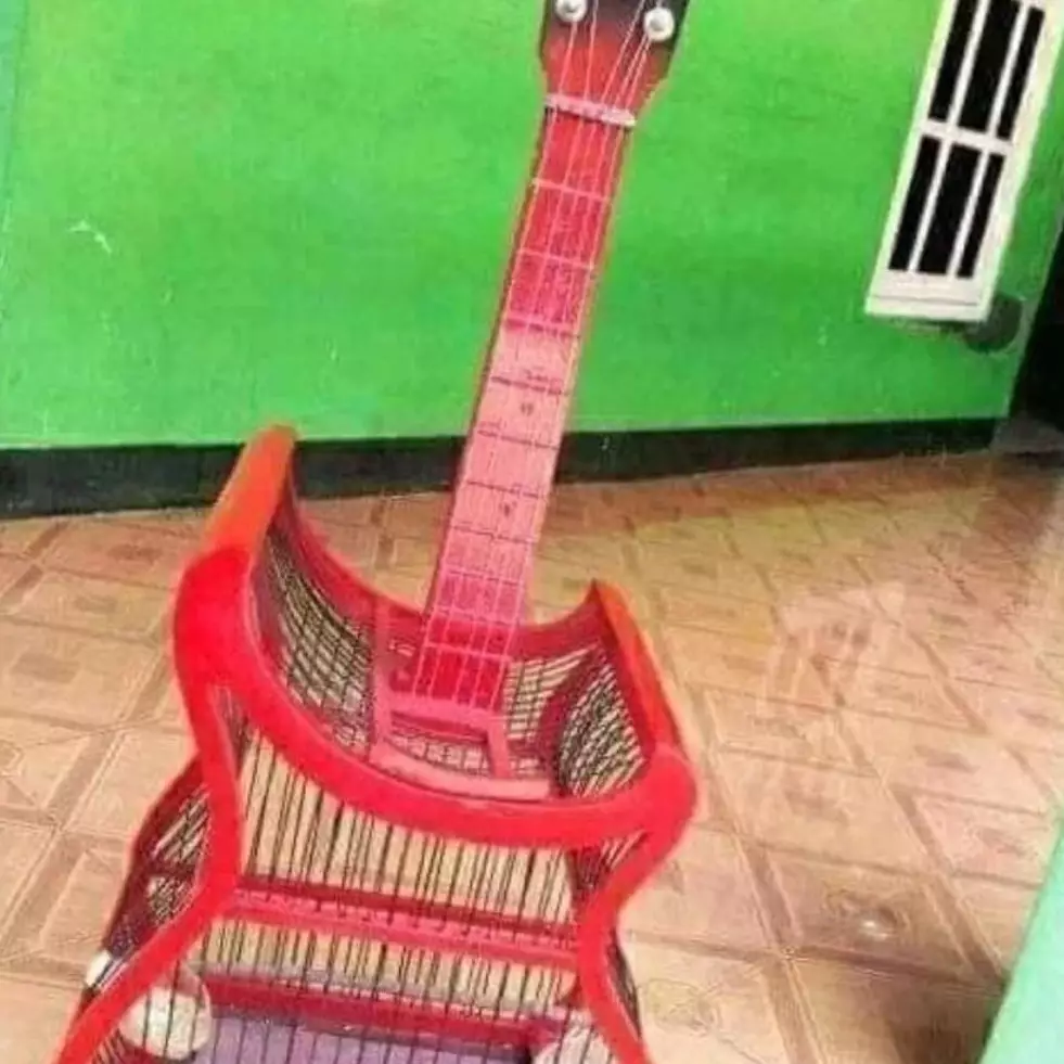 11 Potret kocak desain nyeleneh sangkar burung ini bikin yang lihat geleng kepala, kreatif abis