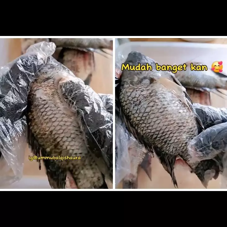 Cukup 5 menit, wanita ini punya trik aman bersihkan sisik ikan tanpa pisau atau alat