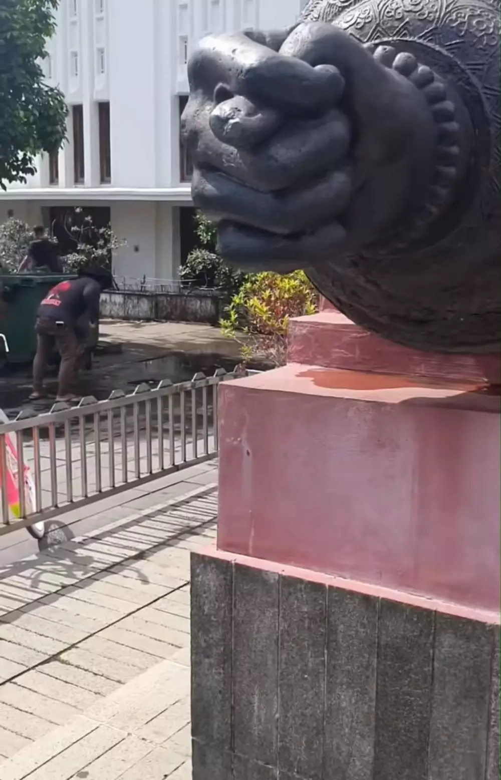 meriam si jagur © TikTok