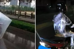 11 Potret kocak orang pakai jas hujan kelewat nyeleneh ini bikin ngelus dada, pengen emosi tapi lucu