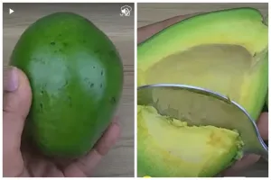 Matang sempurna dalam 1 hari, ini trik memeram alpukat tanpa disiram air atau dibungkus tisu