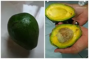 Empuk dalam 4 hari meski tak diperam beras, ini trik mematangkan alpukat pakai 1 alat sederhana