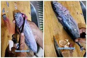 Tak perlu buang ekornya, begini trik hilangkan racun pada ikan tongkol pakai 1 bumbu dapur