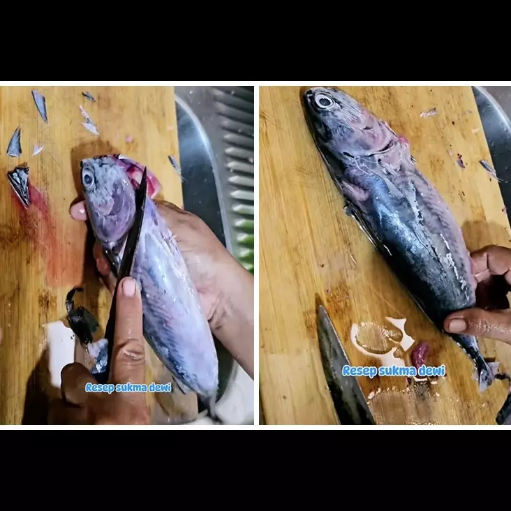 Tak perlu buang ekornya, begini trik hilangkan racun pada ikan tongkol pakai 1 bumbu dapur