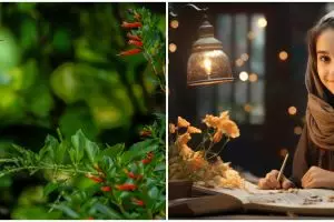 Contoh teks deskripsi tentang alam, lengkap dengan pengertian dan strukturnya