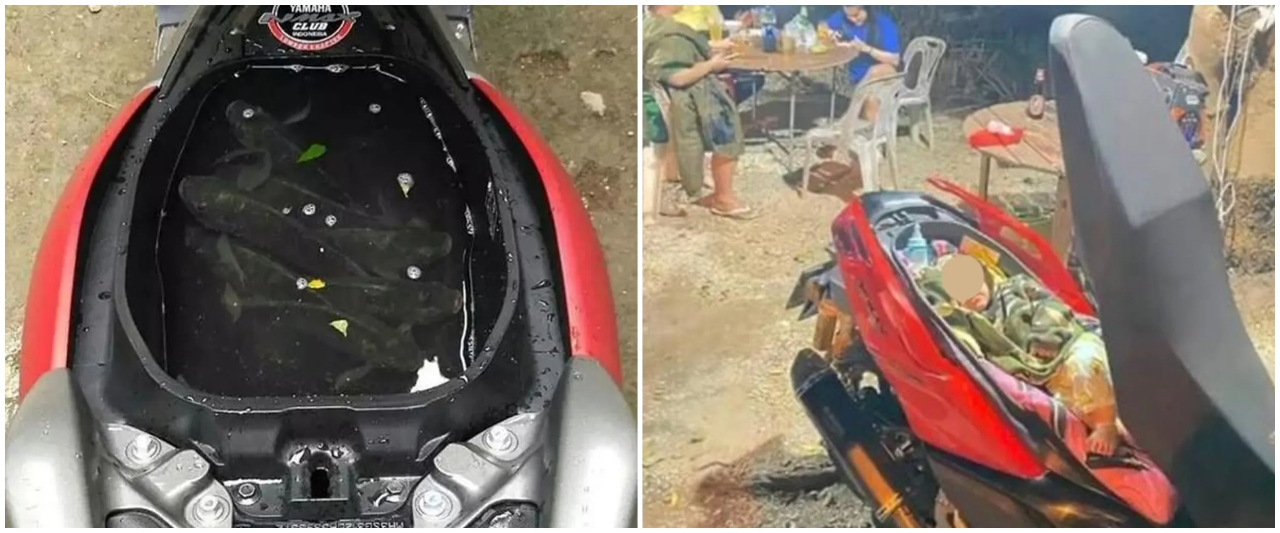 11 Potret kocak fungsi nyeleneh bagasi motor ini nggak habis pikir, auto geleng-geleng kepala