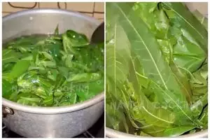 Tanpa tanah liat, ini cara merebus daun singkong agar empuk dalam 5 menit dan warnanya tetap hijau