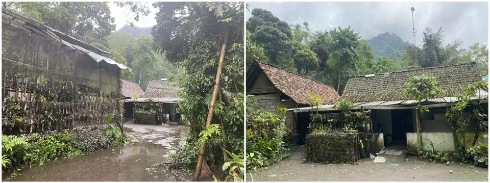 liputan anggrek merapi © 2024 brilio.net liputan anggrek merapi © 2024 brilio.net