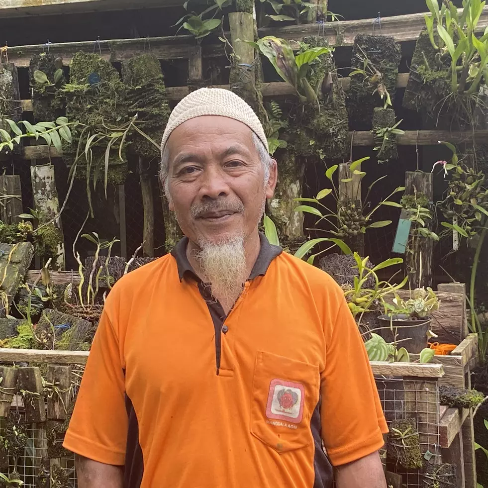 Cerita Musimin bertahan di lereng Merapi demi lestarikan anggrek hutan meski kerap terancam erupsi