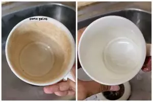 Tanpa direndam larutan pemutih, ini cara mudah bersihkan cangkir berkerak pakai 1 bahan dapur