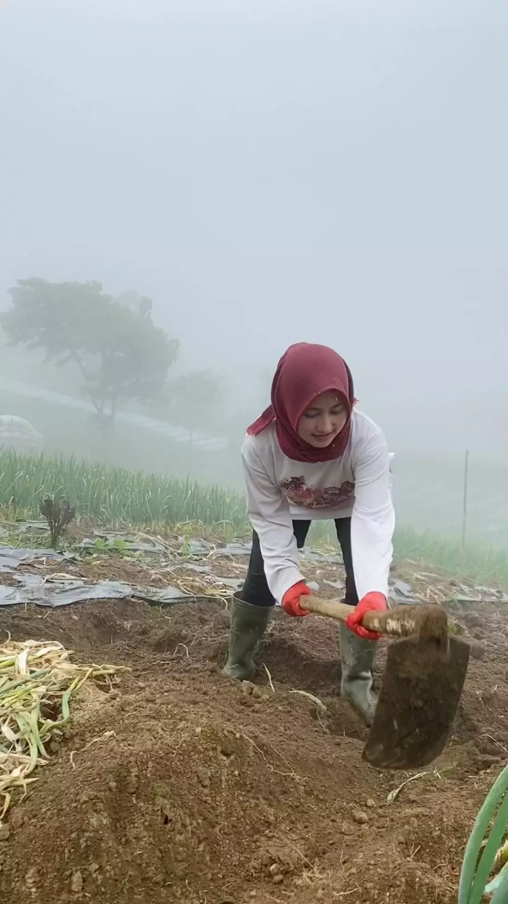 Biduan seksi kini jadi petani © Instagram