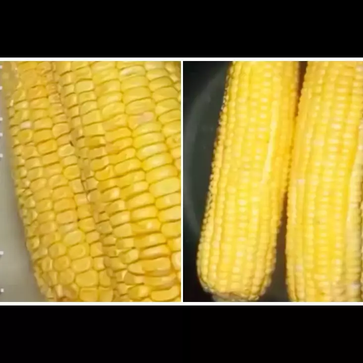 Bukan dimasukkan kulkas, ini trik bikin jagung keriput jadi segar lagi cuma pakai 1 bahan sederhana