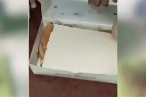 Momen apes pria beli martabak manis di pedagang nyeleneh, hasil makanannya malah bikin nggak selera