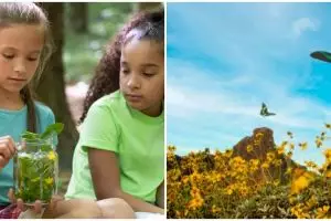 Contoh text narrative bahasa Inggris kelas 9 tentang fenomena alam, lengkap dengan penjelasannya