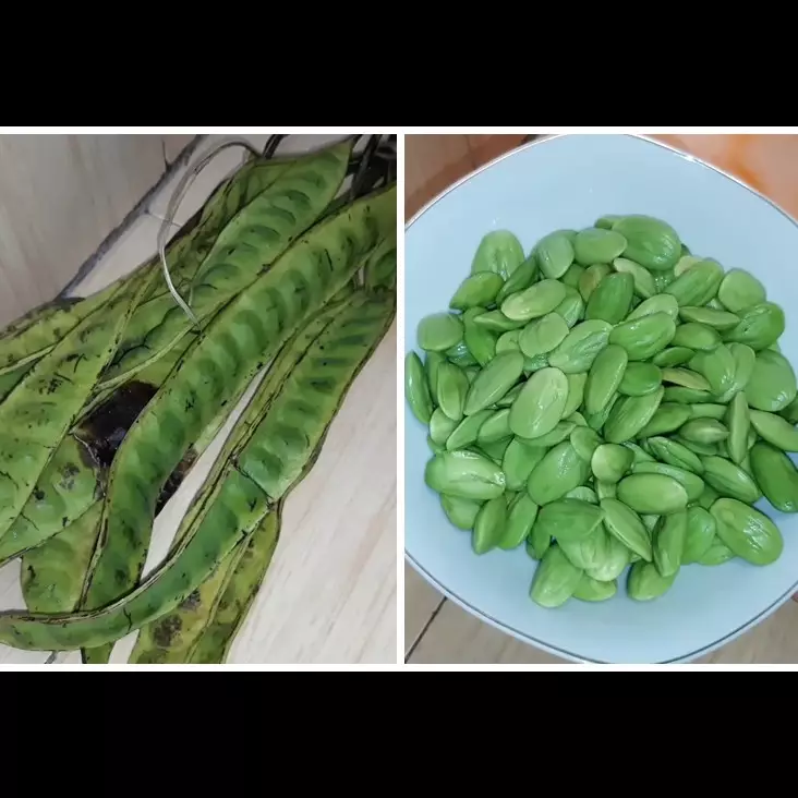 Bukan direndam minyak goreng, ini cara menyimpan petai kupas agar awet berbulan-bulan