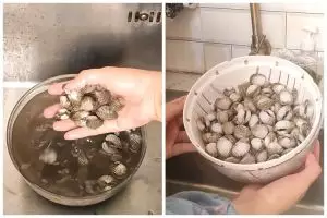 Tak perlu disikat satu per satu, ini cara cepat bersihkan kerang dara cuma pakai 1 bahan dapur