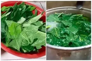 15 Cara menghilangkan rasa pahit daun pepaya, praktis pakai bahan sederhana