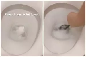 Tanpa perlu digosok, ini trik bersihkan kloset menguning agar kinclong lagi cuma tambah 1 bahan dapur