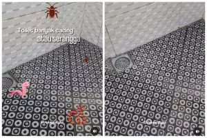 Bukan disiram air panas, ini trik agar lantai kamar mandi bebas cacing dan kecoak pakai 2 bahan dapur