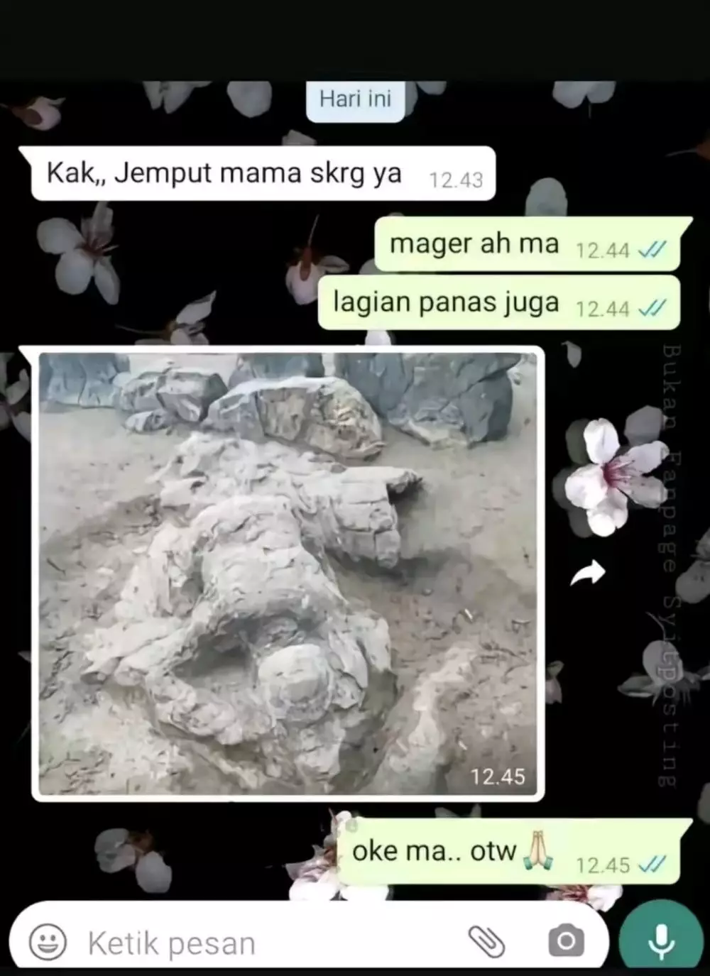 chat lucu dengan orang tua berbagai sumber