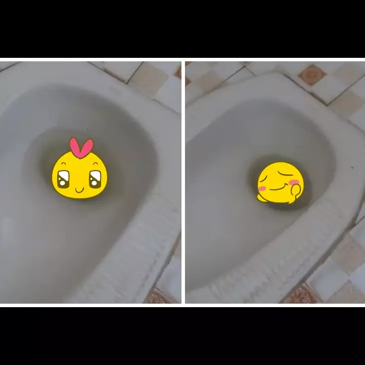 Bukan ditabur soda kue, ini trik ampuh atasi kloset mampet dan bau cuma pakai 1 bumbu dapur