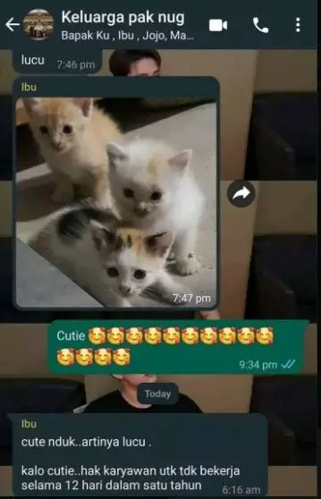 Chat lucu memperbaiki typo Berbagai sumber