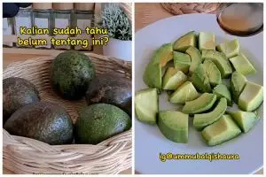 Tanpa perlu dibungkus kertas, ini cara menyimpan alpukat agar tidak busuk dan awet selama 30 hari