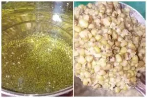 Tanpa perlu direndam semalaman, ini trik merebus kacang hijau agar empuk hanya dalam 17 menit