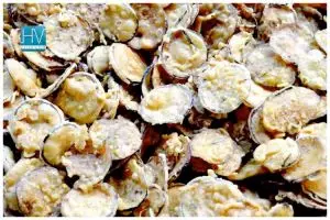 Tanpa baking powder, cara emak-emak bikin terong krispi ini gurih dan kriuk tambah 1 bahan makanan