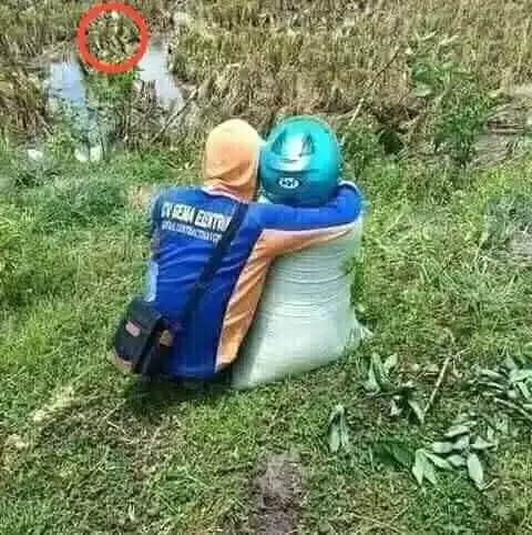 akal-akalan menolak jomblo berbagai sumber