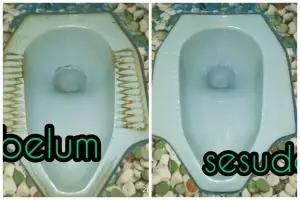 Tanpa diamplas, ini cara ampuh menghilangkan kerak di kloset kamar mandi pakai 3 bahan dapur