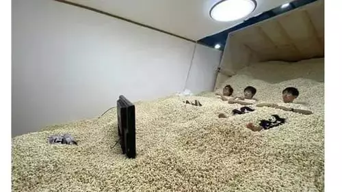 nonton tv absurd abis berbagai sumber