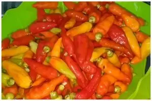Tanpa dijemur atau dibekukan, ini cara simpan cabai agar awet segar hingga 2 bulan pakai 1 bahan dapur