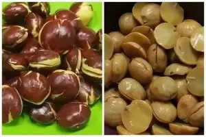 15 Cara merebus jengkol agar tak bau dan cepat empuk, praktis pakai bahan rumahan