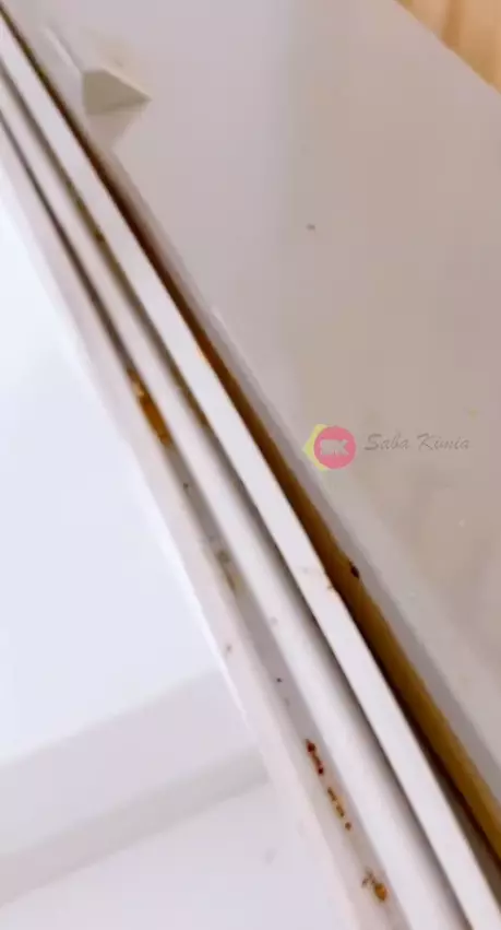 karet pintu kulkas cuka © 2024 brilio.net