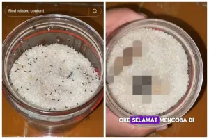 Tanpa dijemur seharian, begini trik mengusir semut dari toples gula dengan cepat pakai bumbu dapur