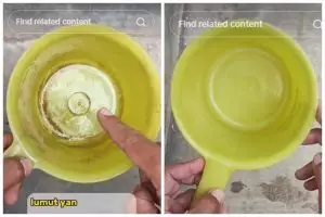 Tanpa gunakan detergen, ini cara hilangkan noda lumut pada gayung cukup tambah 1 bahan dapur