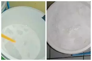 Tanpa masuk kulkas, pria ini bagikan trik menyimpan santan segar agar awet hingga 2 hari