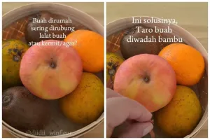 Tak perlu bikin perangkap, begini cara ampuh mengusir lalat buah cuma andalkan 1 jenis rempah