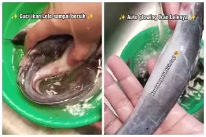 Tak perlu garam atau air jeruk nipis, ini trik jitu bersihkan lendir ikan lele pakai 1 bahan dapur