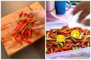 Tak dimasukkan freezer, ini trik agar cabai awet berminggu-minggu andalkan 1 alat dan bahan sederhana