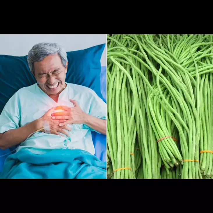 11 Sayuran ini ampuh menurunkan kolesterol tinggi, usir lemak jahat secara aman