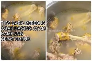 Cuma 15 menit, begini trik merebus daging ayam kampung agar cepat empuk tanpa presto