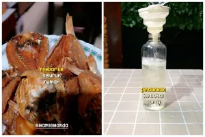 Bukan pakai kopi, ibu muda ini punya trik usir bau bekas goreng ikan asin cuma dengan 2 bahan dapur
