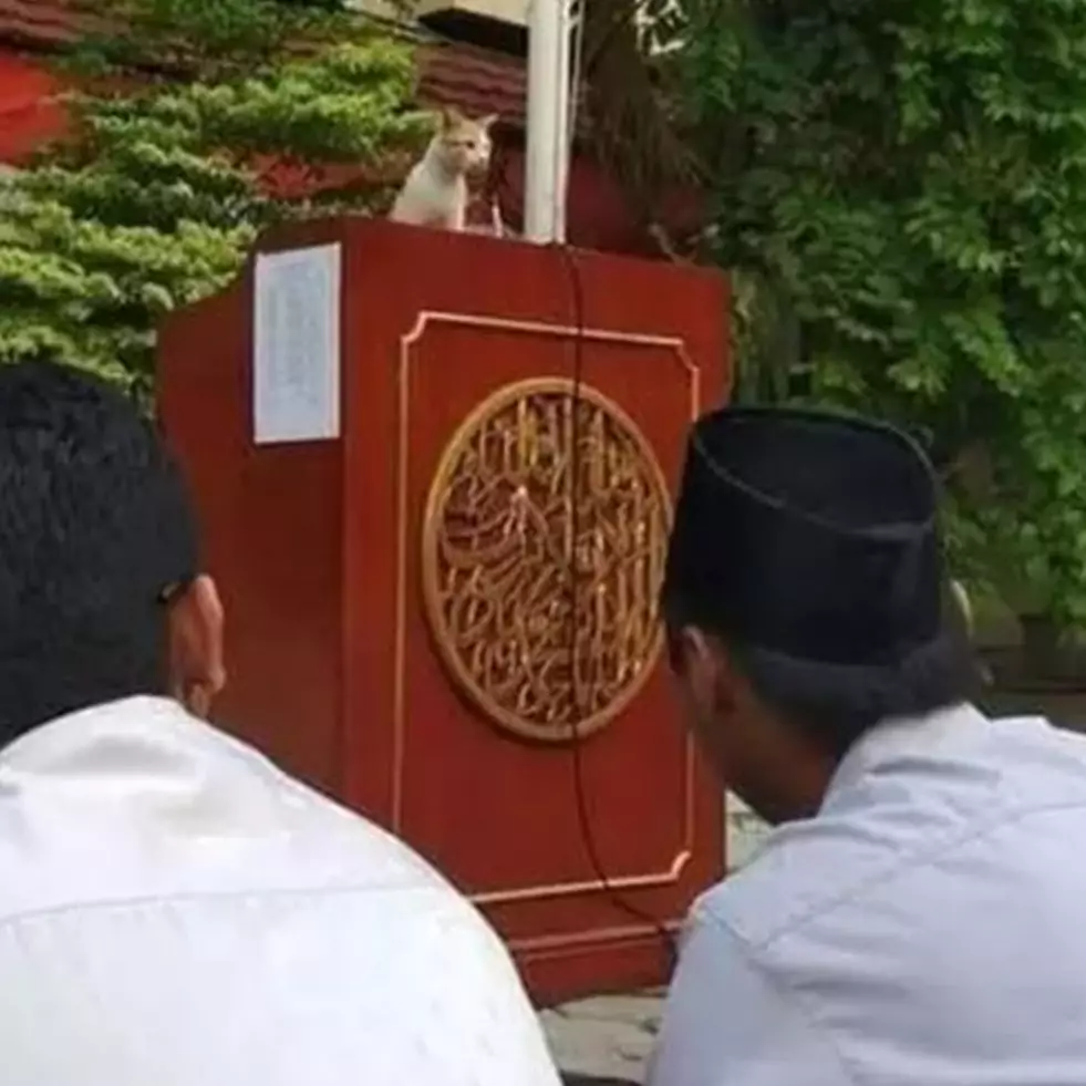 11 Potret kocak momen absurd saat Lebaran ini bikin nyengir nggak habis pikir