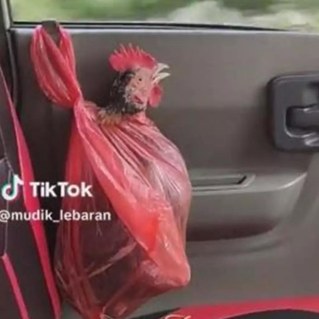 11 Potret kocak barang bawaan saat mudik ini cara bawanya 'di luar nurul', bikin tepuk jidat