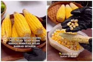 Tanpa diblansir, ini cara simpan jagung pipil agar tidak keriput dan tetap manis hingga berbulan-bulan
