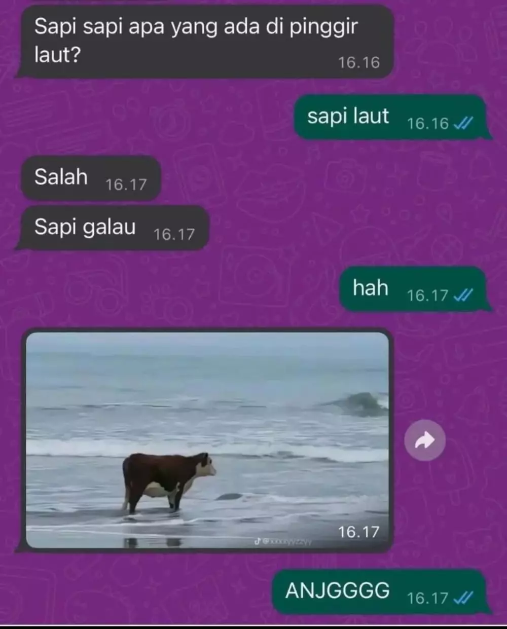 chat tebak-tebakan ngeselin berbagai sumber chat tebak-tebakan ngeselin berbagai sumber