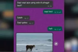 11 Chat lucu ngajak main tebak-tebakan ini isinya ngeselin abis, bikin geleng kepala